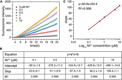 A novel “off-on” fluorescent probe for the detection of nickel ions and its clinical application